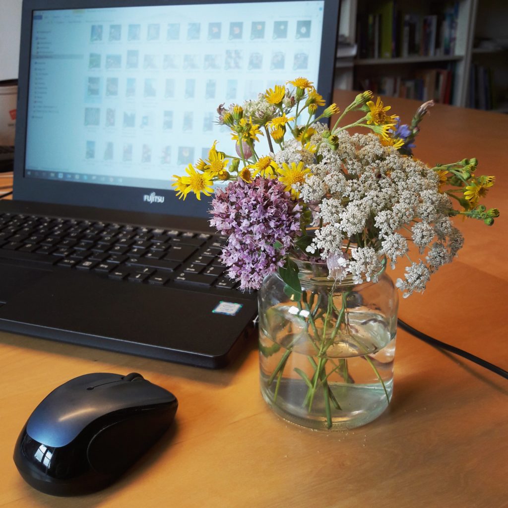 Gute SEO-Texte funktionieren wie Blumensträuße. Bild: kleiner Strauß mit Wiesenblumen auf einem Schreibtisch.